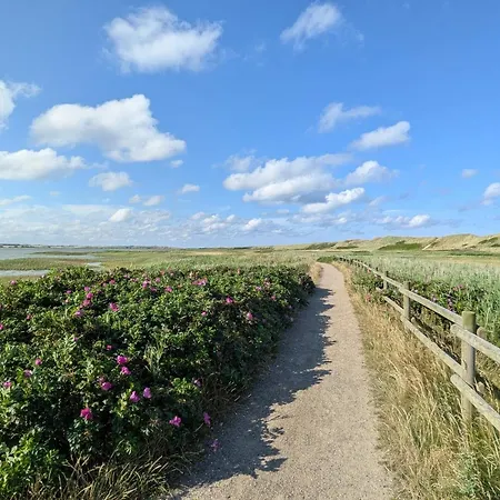 別荘 8 Person In Harboore-by Traum