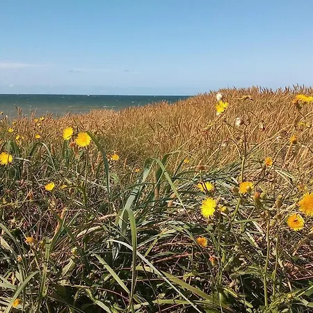 8 Person In Harboore-by Traum * Harboør