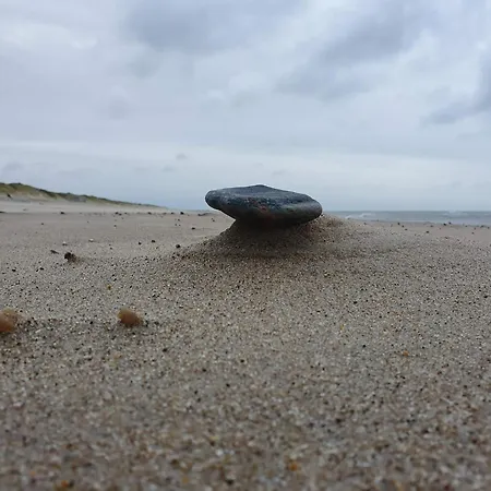 8 Person In Harboore-by Traum 別荘 *