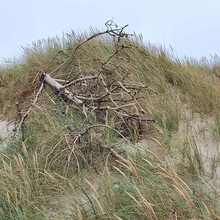 別荘 8 Person In Harboore-by Traum