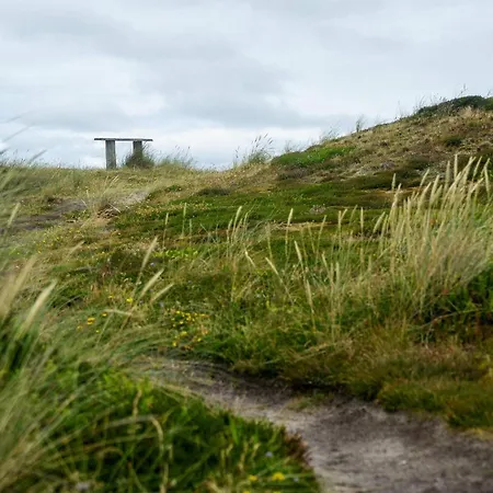 8 Person In Harboore-by Traum * Harboør