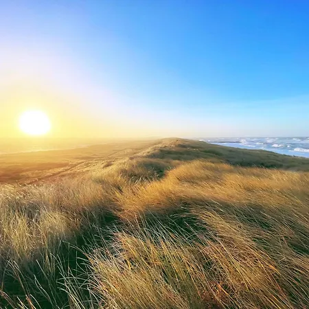 8 Person In Harboore-by Traum 別荘 *