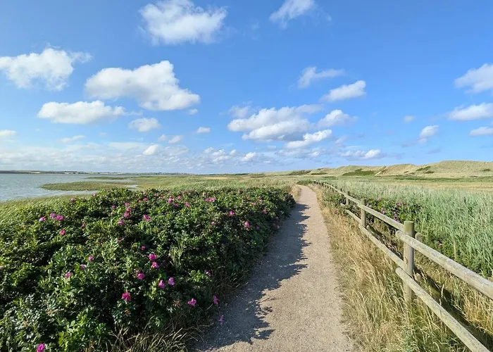 Σπίτι διακοπών 8 Person In Harboore-by Traum