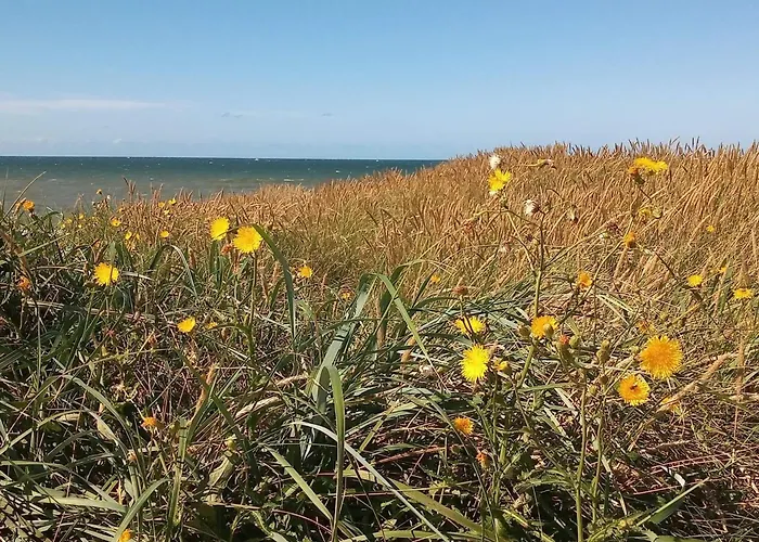 8 Person In Harboore-by Traum * Harboør