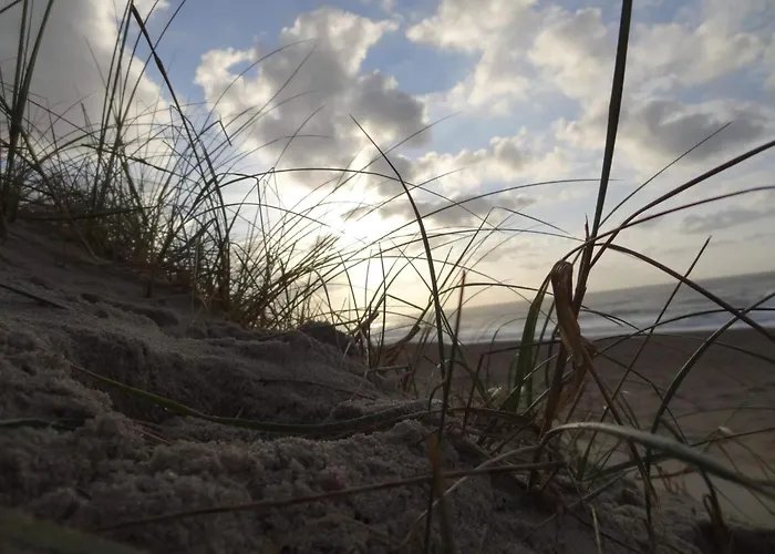 8 Person In Harboore-by Traum Σπίτι διακοπών Harboør