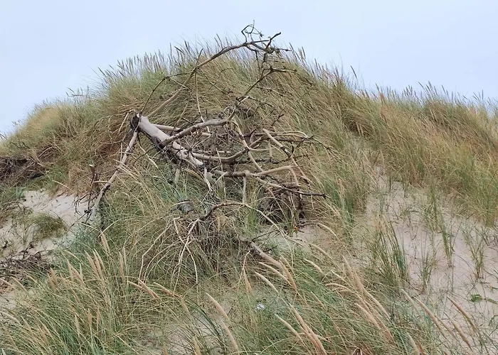 Σπίτι διακοπών 8 Person In Harboore-by Traum