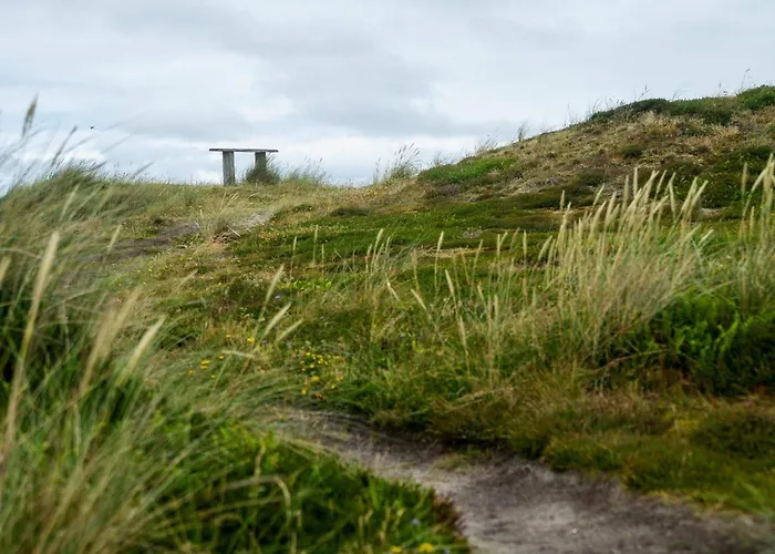 8 Person In Harboore-by Traum * Harboør